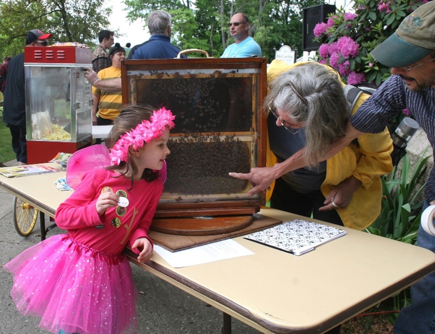 Langstroth Bee Festival